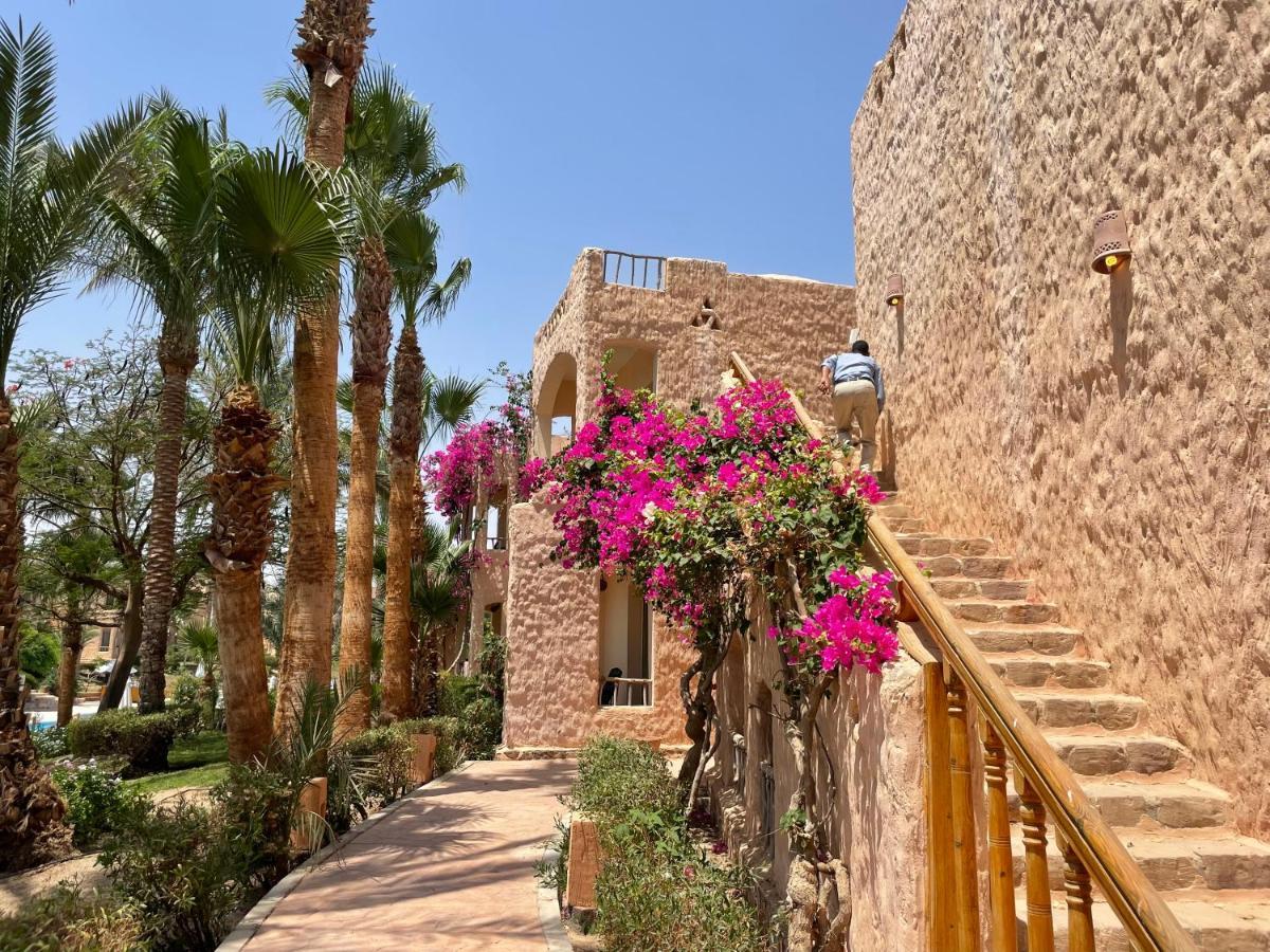 Blue Lagoon View Resort & Spa Marsa Alam Exterior photo