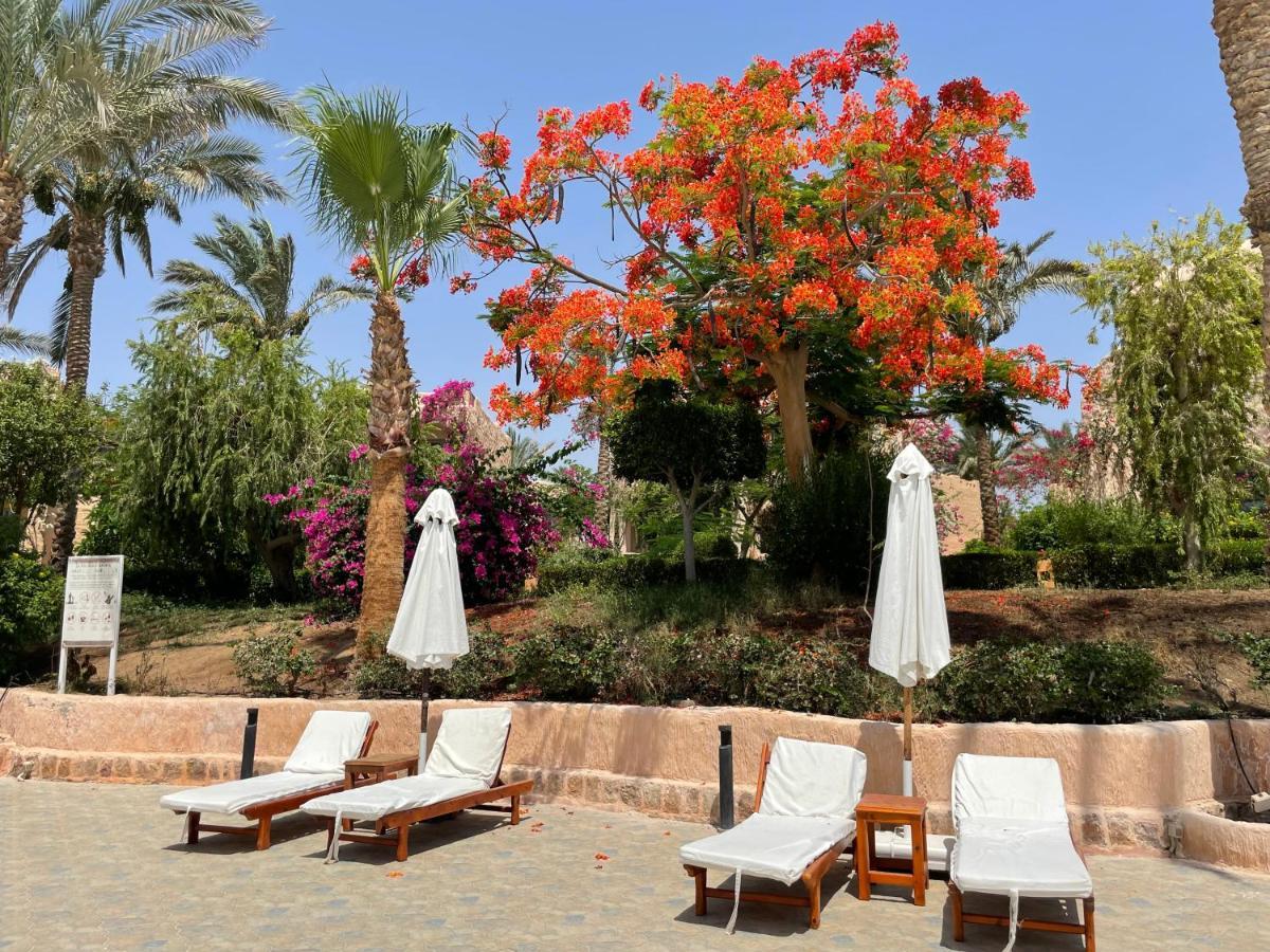 Blue Lagoon View Resort & Spa Marsa Alam Exterior photo