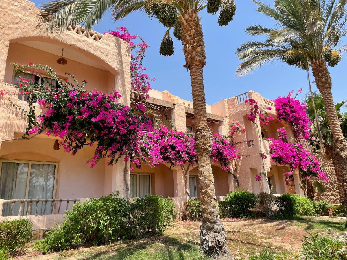 Blue Lagoon View Resort & Spa Marsa Alam Exterior photo