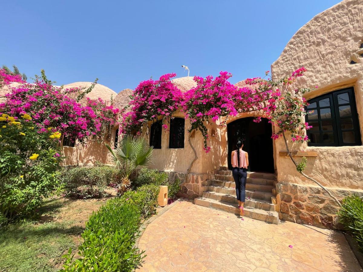 Blue Lagoon View Resort & Spa Marsa Alam Exterior photo